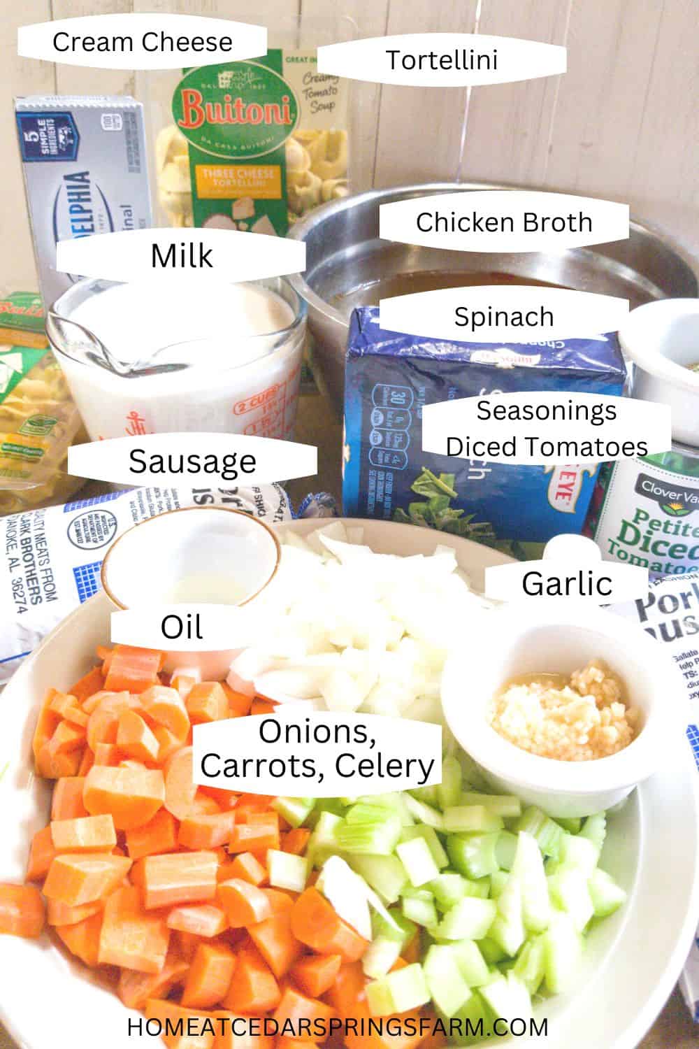 Ingredients needed for tortellini soup with text overlay.
