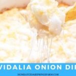Sweet Vidalia Onion Dip