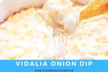 Sweet Vidalia Onion Dip