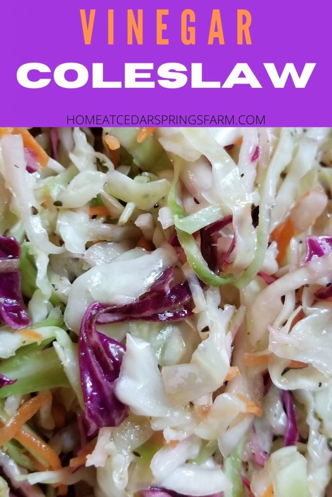 Vinegar Coleslaw