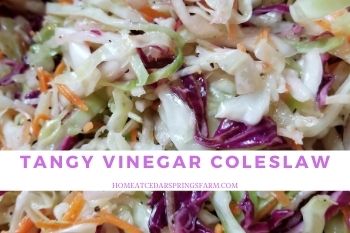 Tangy Vinegar Coleslaw