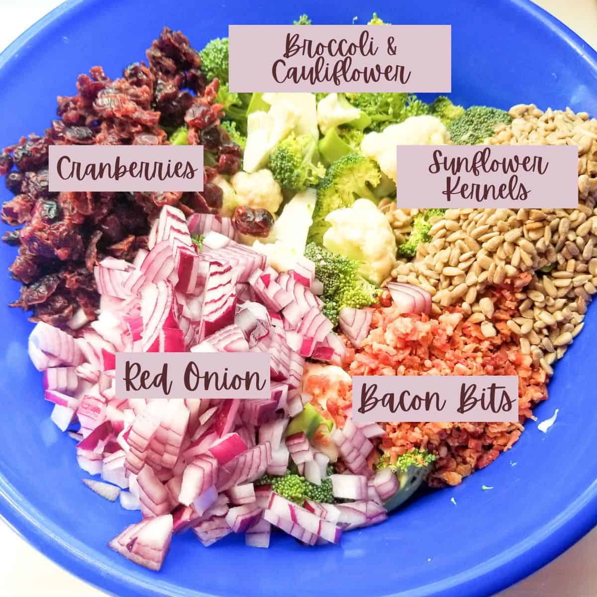 Ingredients needed to make broccoli cauliflower salad with text overlay.