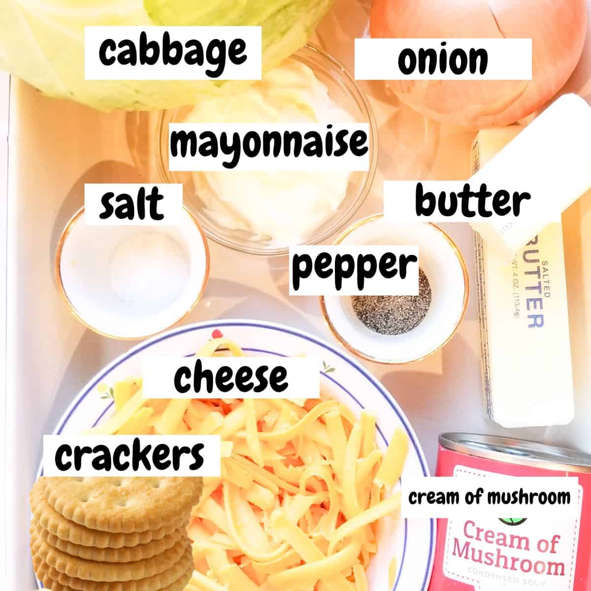 Ingredients needed for easy cabbage casserole with text overlay.