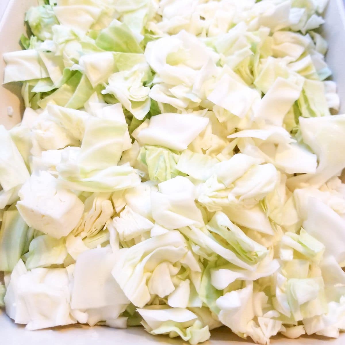 Chopped cabbage in a baking dish.