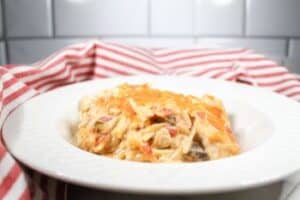 Chicken spaghetti shown in a white bowl with a red and white stripped towel in the background.
