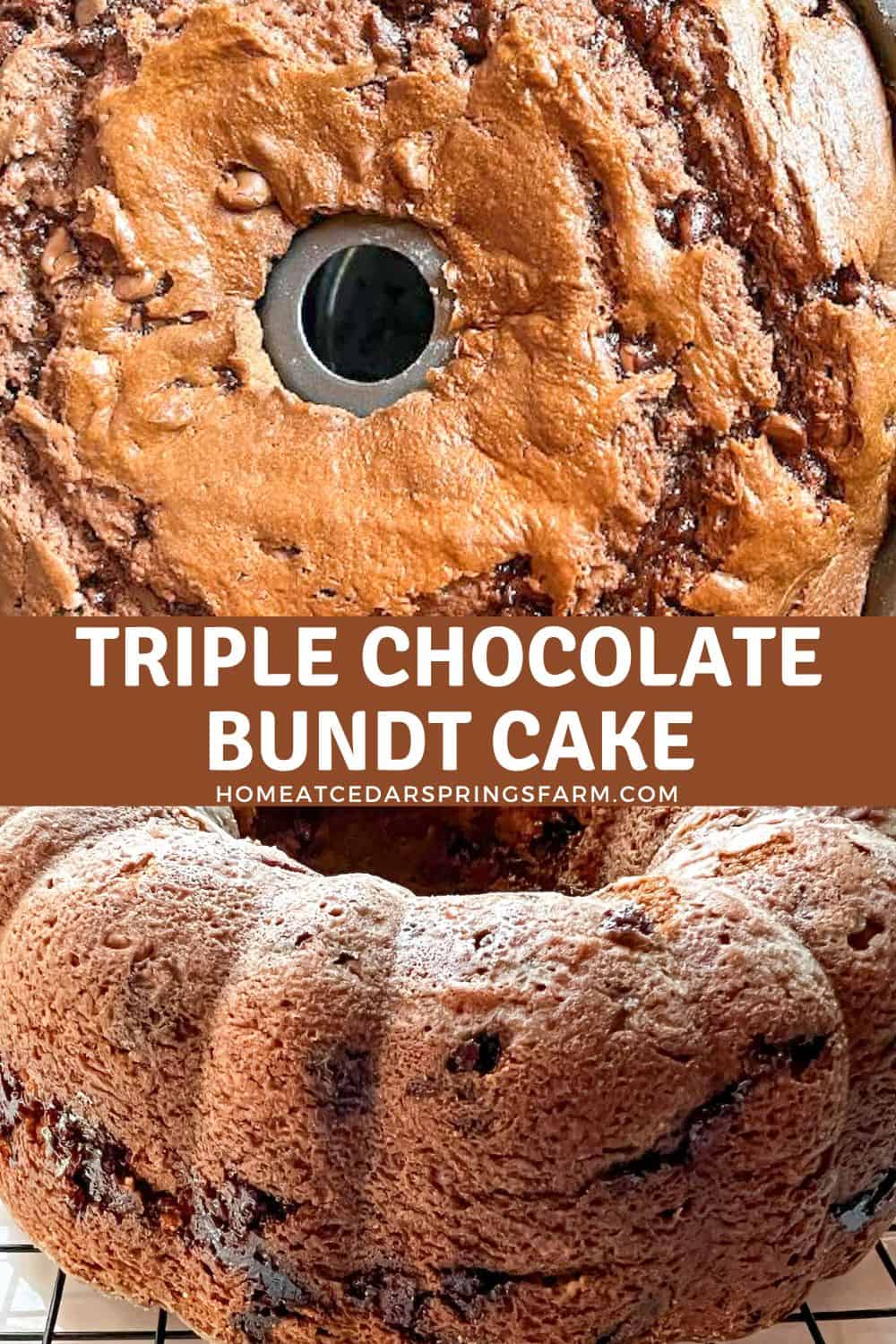 Cooked bundt cakes shown. One is in the pan and the other is on a wire rack cooling. Text overlay.