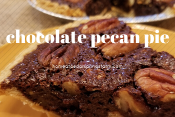 chocolate pecan pie