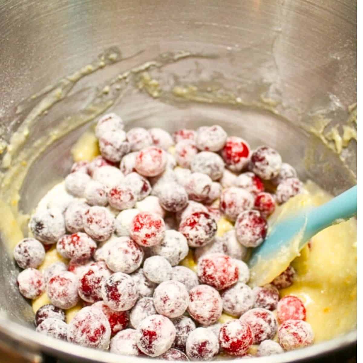 Cranberries tossed in flour and then added to a mixing bowl with the batter.