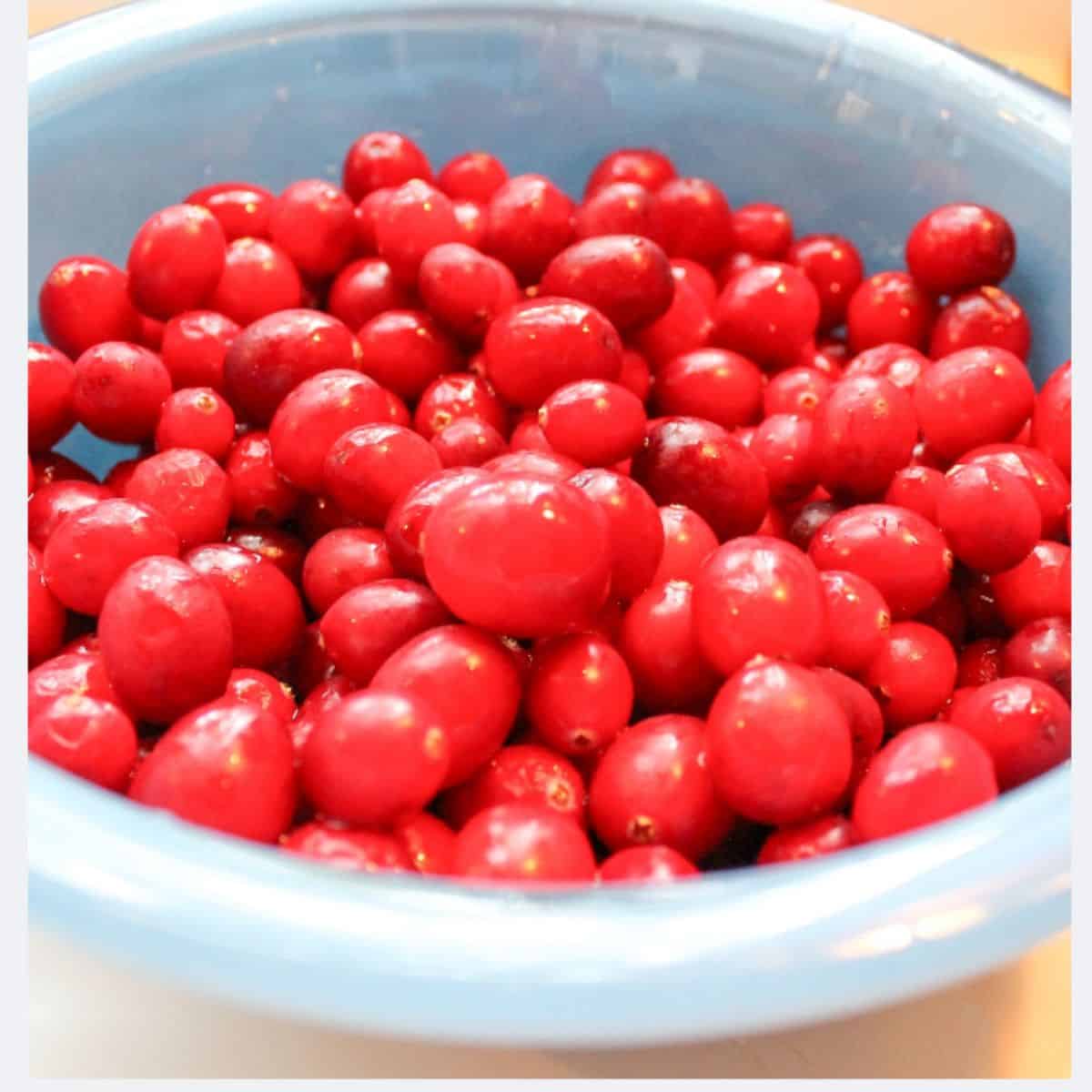 Fresh cranberries in a blue bowl.