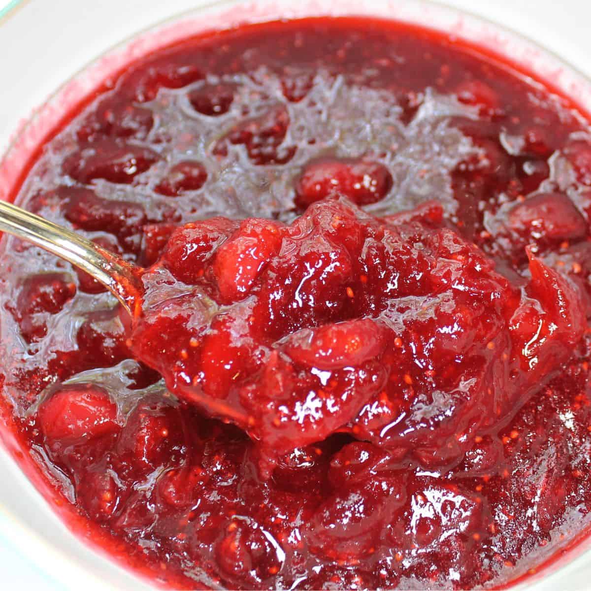 Cooked and chilled cranberry sauce in a bowl with a spoon.