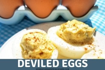 How to Make Your Own Deviled Egg Carrier in Five Minutes - Real Life Dinner