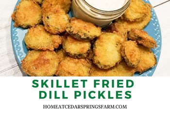 Southern Fried Dill Pickles