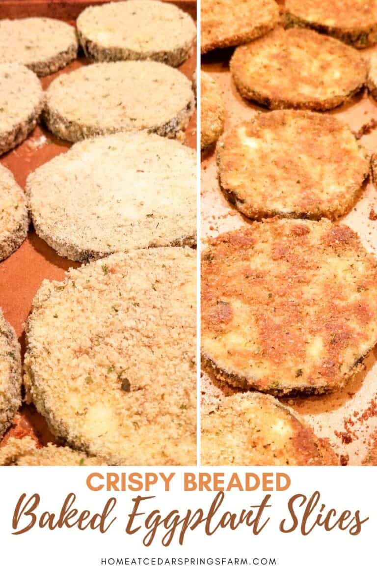 Crispy Baked Breaded Eggplant Slices Home at Cedar Springs Farm