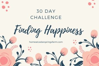 30 Ways to Find Happiness