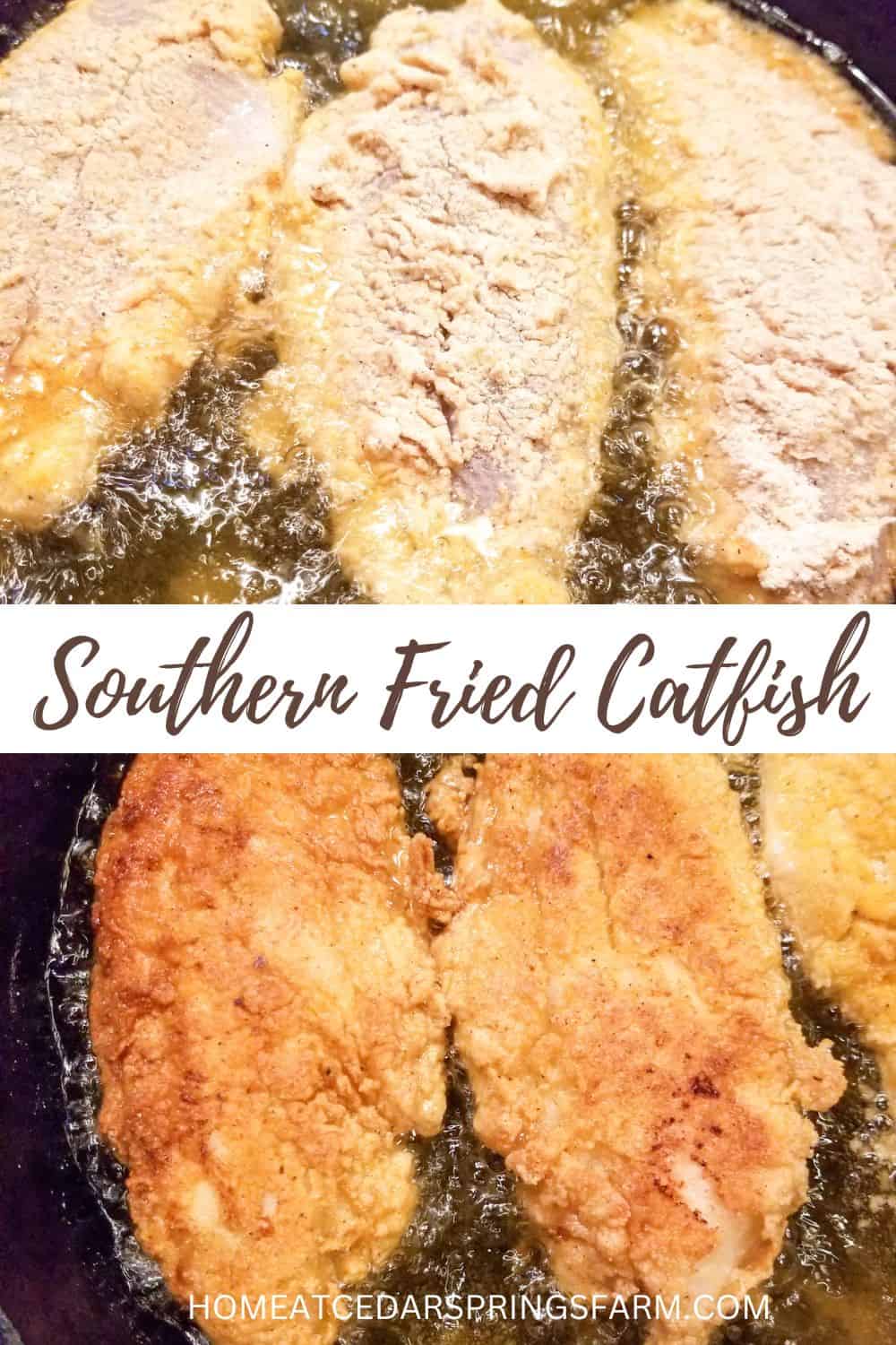 Frying catfish in a cast iron skillet with text overlay.