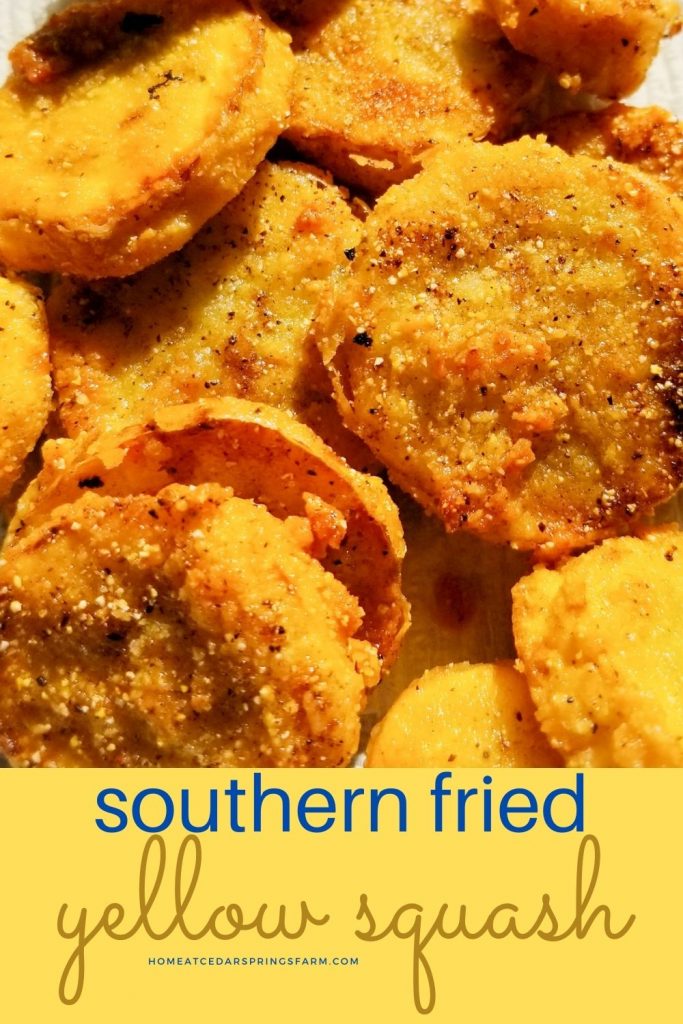 Southern Fried Yellow Squash