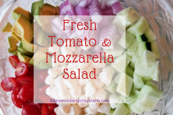 Fresh Tomato and Mozzarella Salad