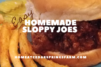 Homemade Sloppy Joes