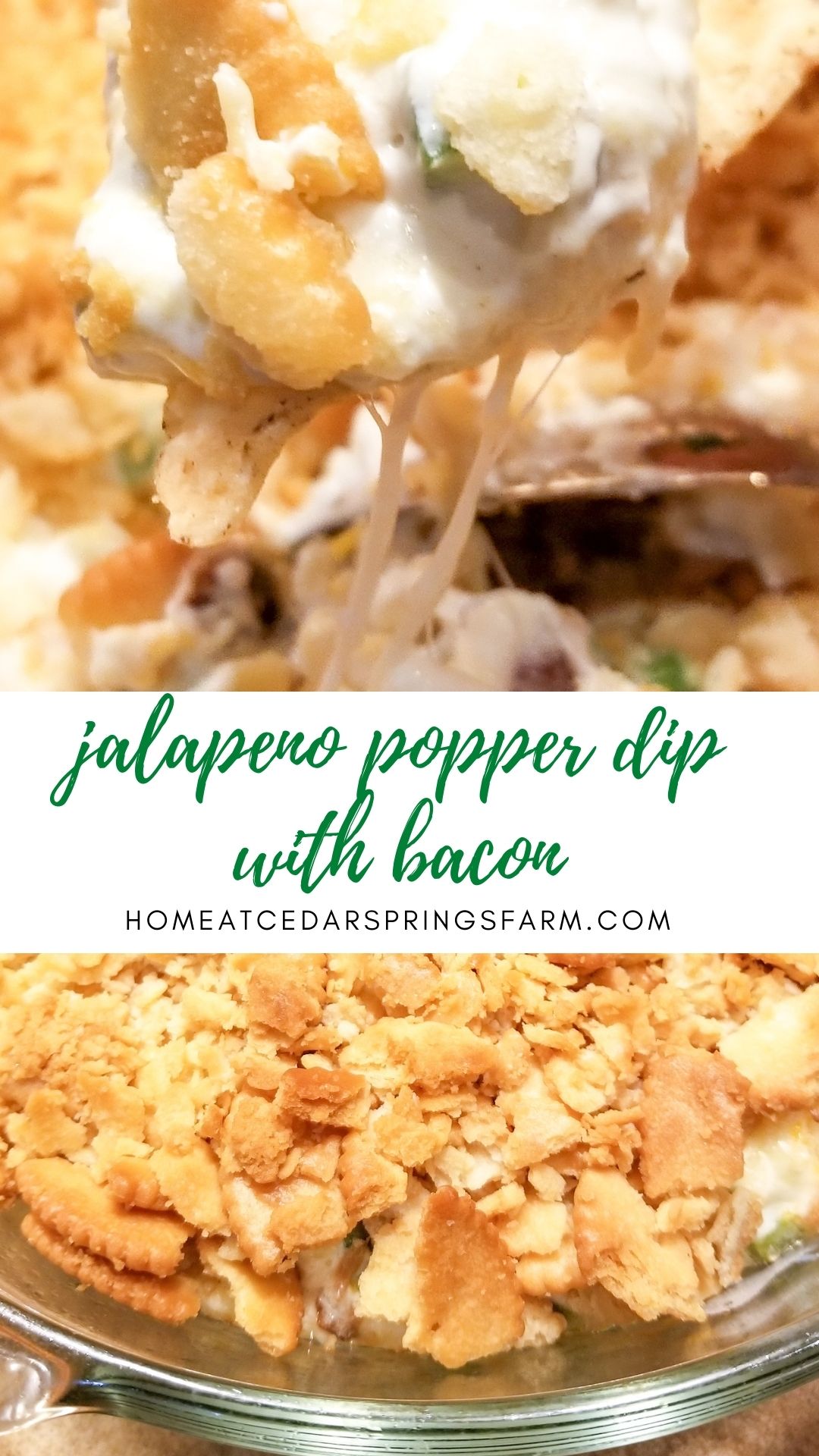 Jalapeno Popper Dip