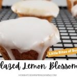 Glazed Lemon Blossoms
