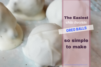Oreo Cookie Balls {3 Ingredients}