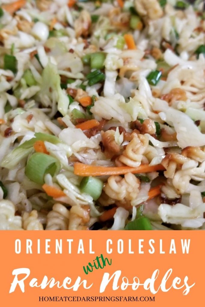 Oriental Coleslaw | Asian Slaw with Ramen Noodles