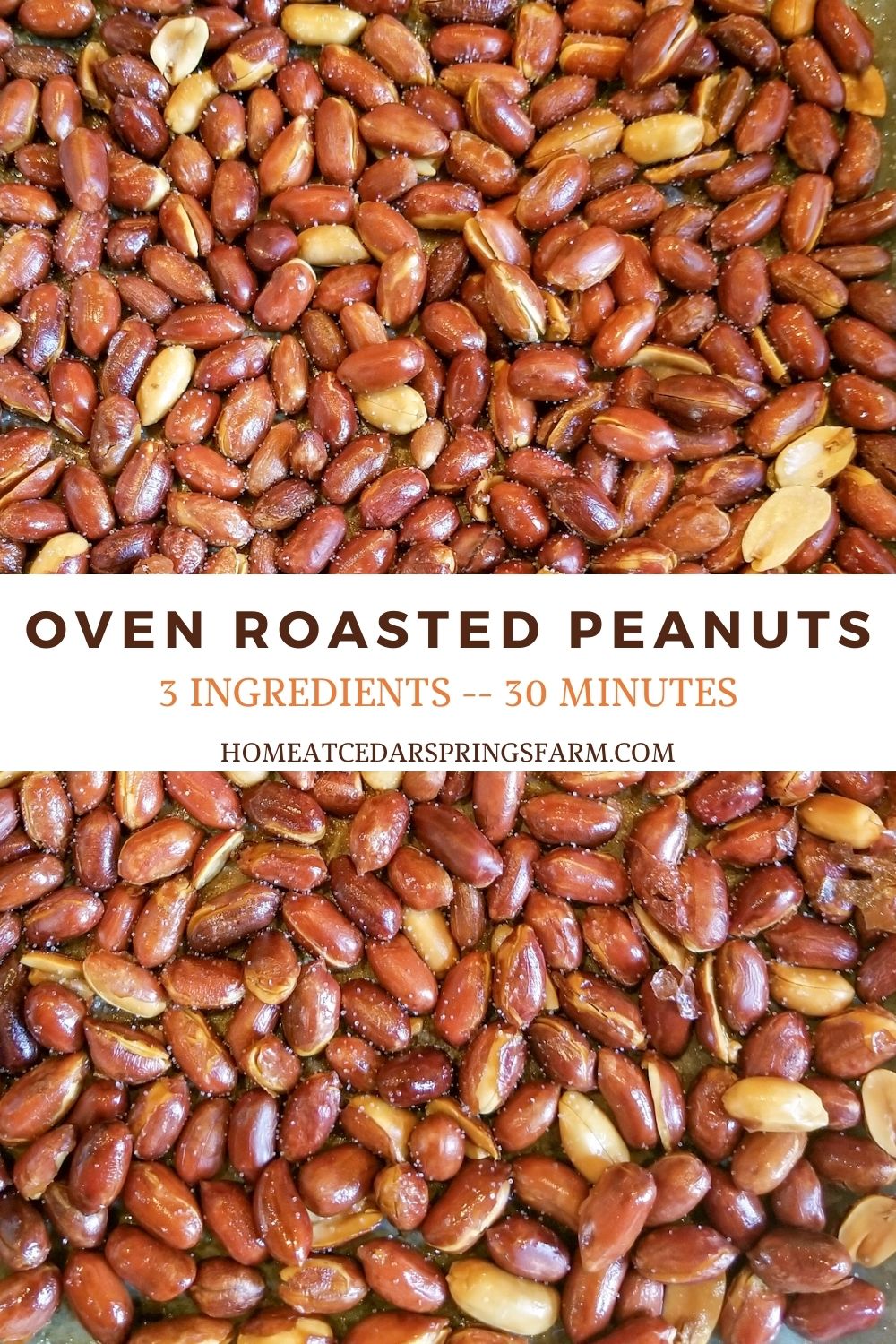 Oven Roasted Peanuts {3 Ingredients}