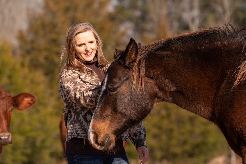 farm and horse