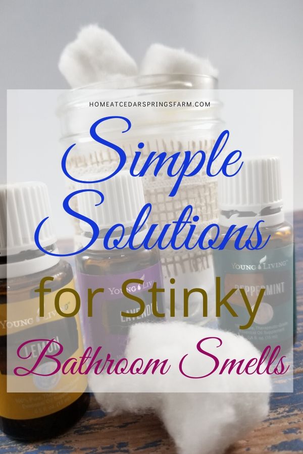 Simple Solutions for Bathroom Smells