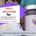 9 Insainly Simple Solutions for Bathroom Smells
