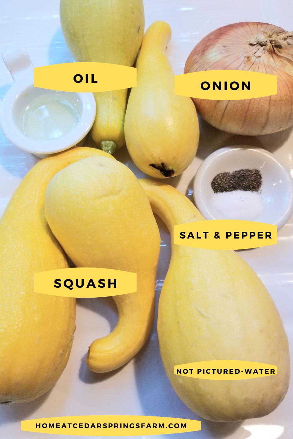 picture of squash and onion ingredients with text overlay