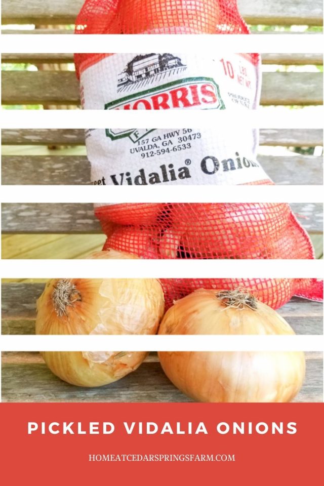 Quick Pickled Vidalia Onions Home at Cedar Springs Farm