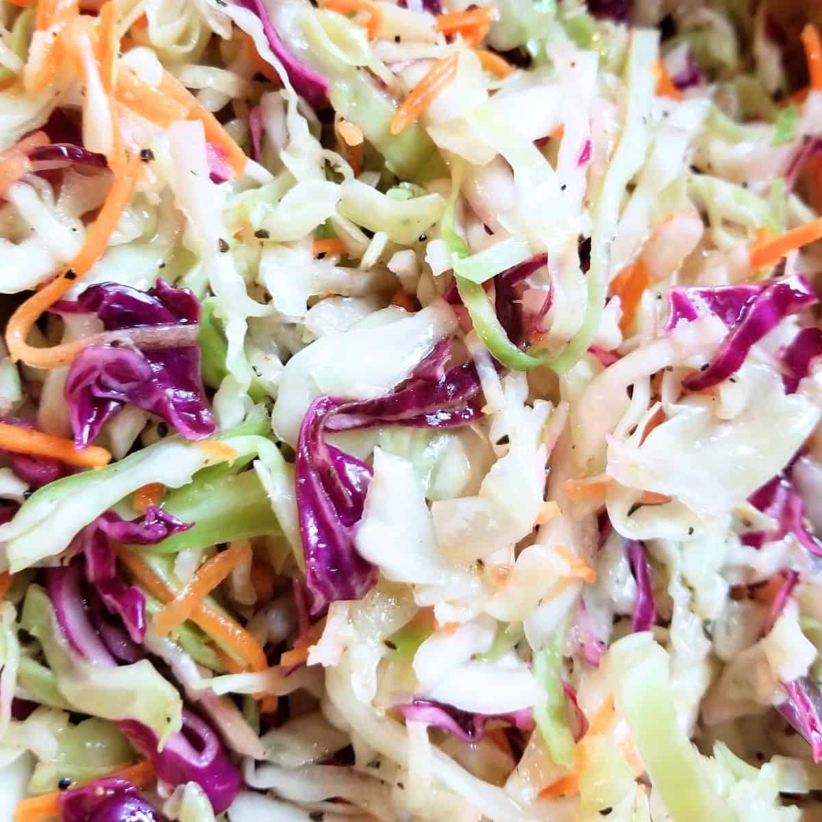 Vinegar coleslaw in a serving bowl.