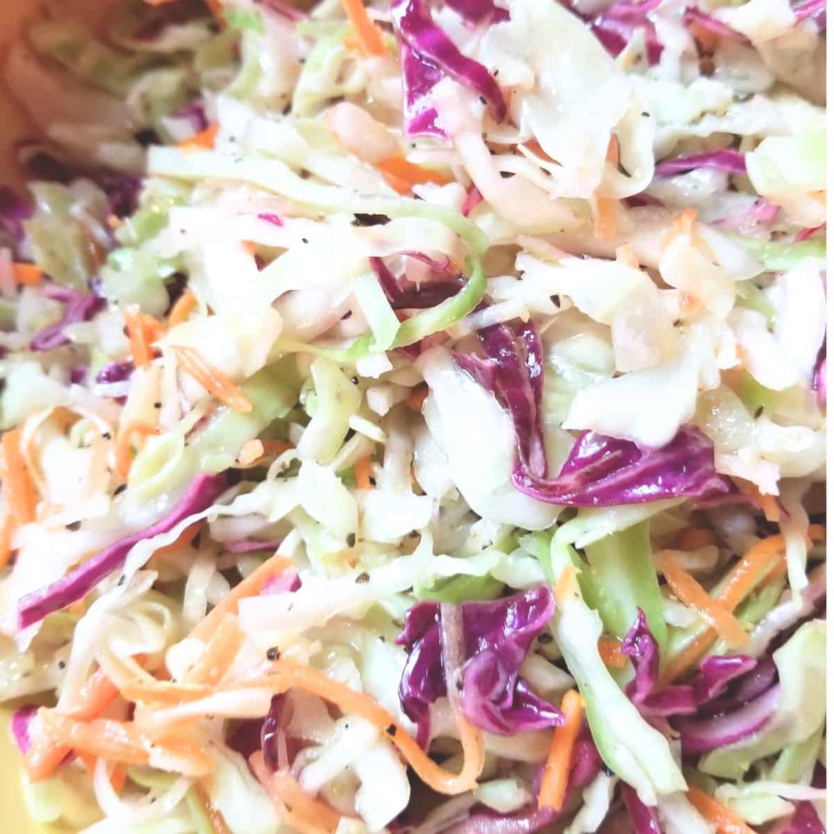 No mayo coleslaw made with shredded cabbage.