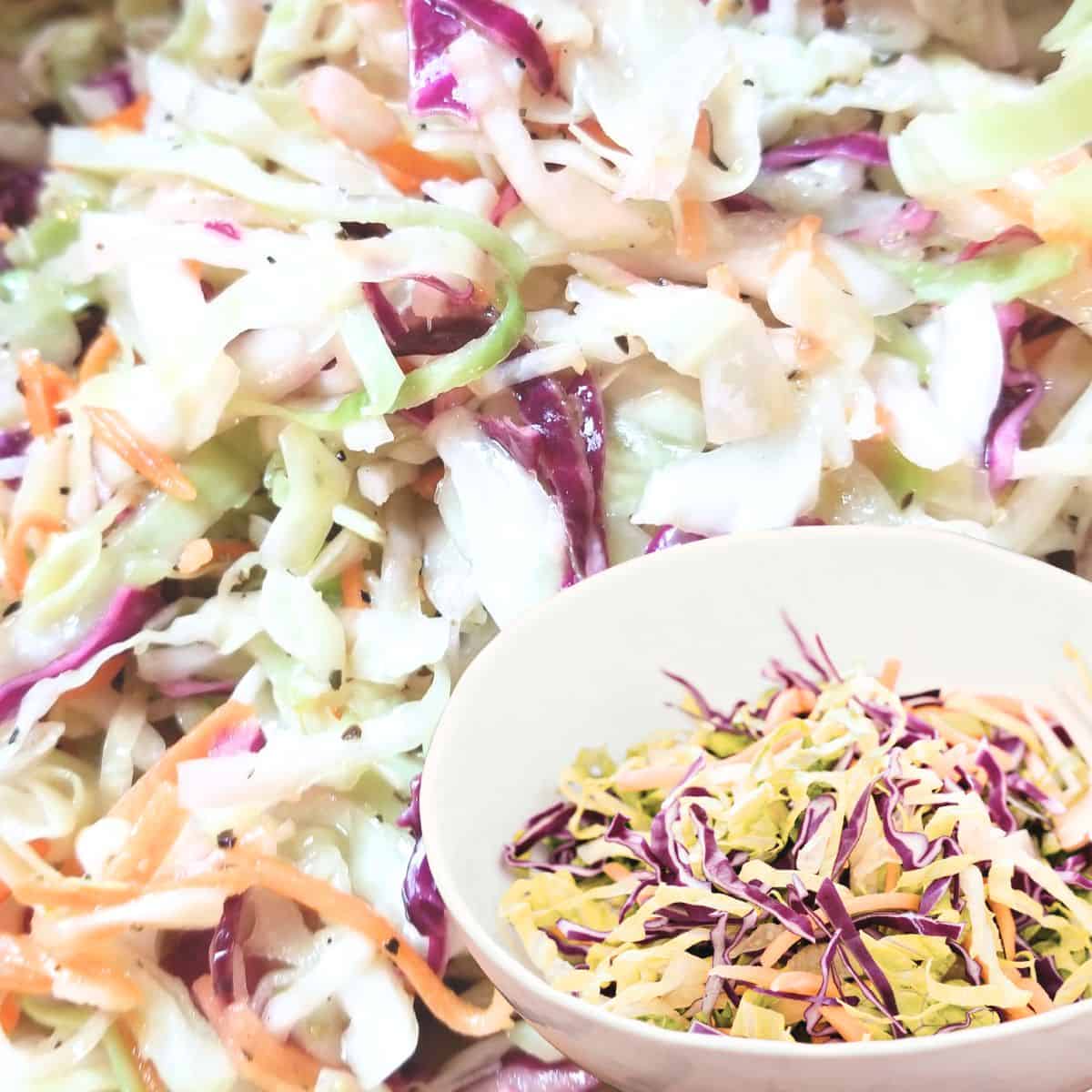Easy Southern vinegar coleslaw recipe in a serving bowl.
