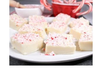 Peppermint fudge on a white plate.